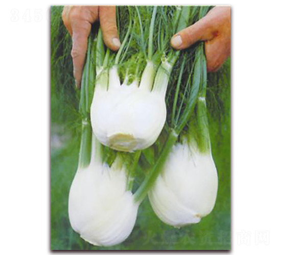 �Y(ji��)������-�ꂥ�N�I(y��)