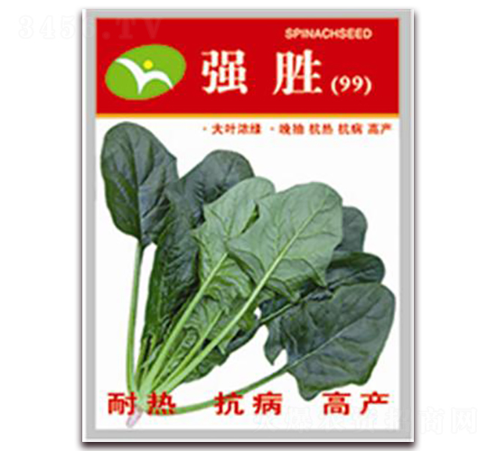 強(qiáng)勝-菠菜種子-宏偉種業(yè)