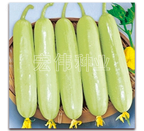 ���ˮ���S��-�S�ϷN��-�ꂥ�N�I(y��)