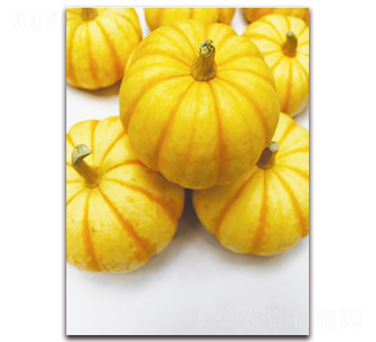 �Sؐؐ-�ϹϷN��-�ꂥ�N�I(y��)