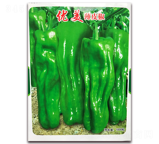 ��(y��u)����Ƥ��-�����N��-�ꂥ�N�I(y��)