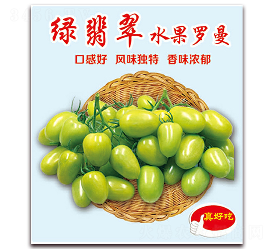 �G���ˮ���_��-�������t���N��-�ꂥ�N�I(y��)