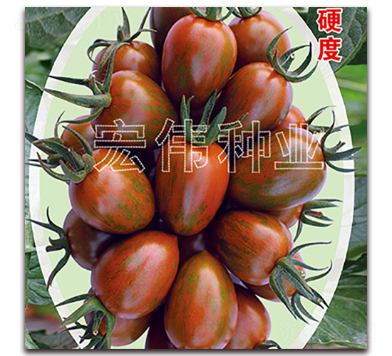 �ϲ���-�������t���N��-�ꂥ�N�I(y��)