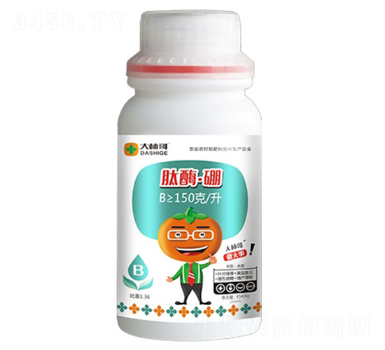 ��ø����-������