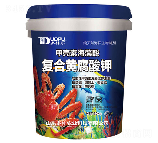 �ͺ��S�����-�����Ƽ�