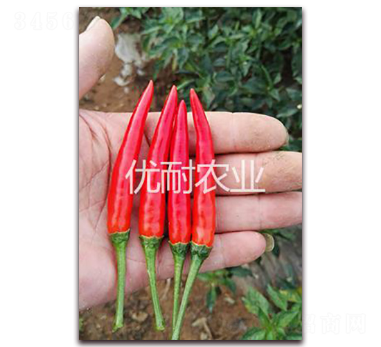 ̩��1102-�����N��-��(y��u)���r(n��ng)�I(y��)