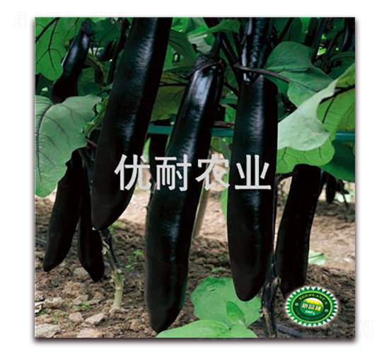 ��(y��u)��ī��1018-���ӷN��-��(y��u)���r(n��ng)�I(y��)