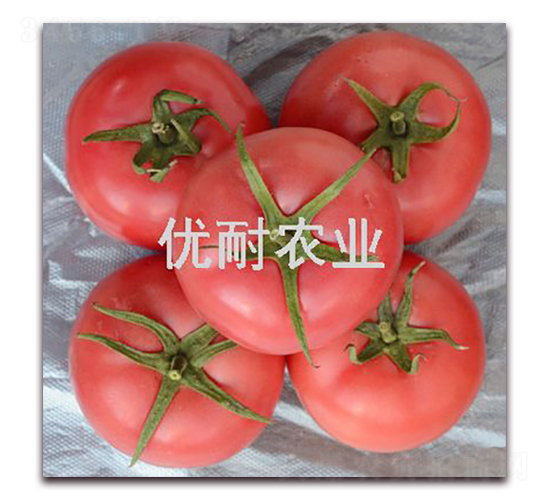 �����R��-���ѷN��-��(y��u)���r(n��ng)�I(y��)