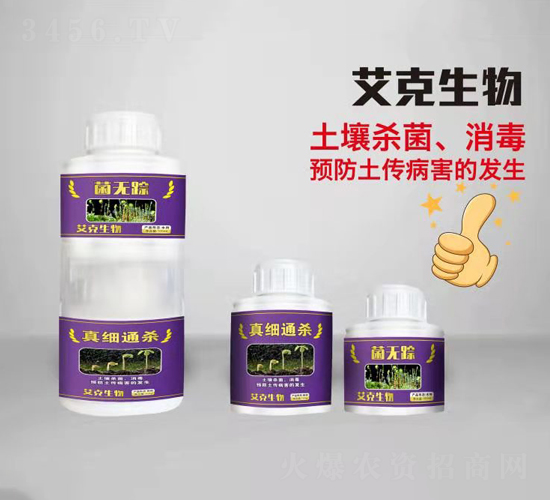 ���oۙ-��������