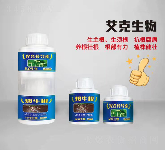 ��ς�����-��������