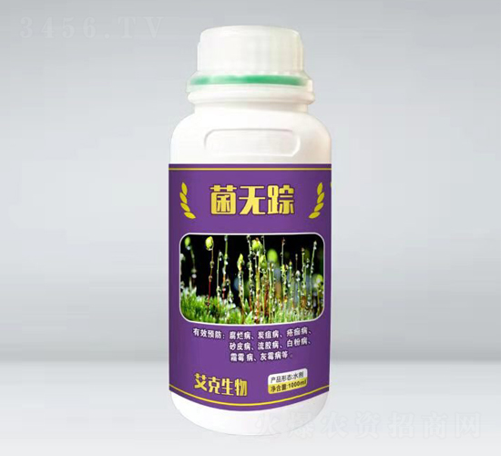 ���oۙ��ƿ��-��������