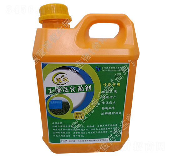 ���������-����-������