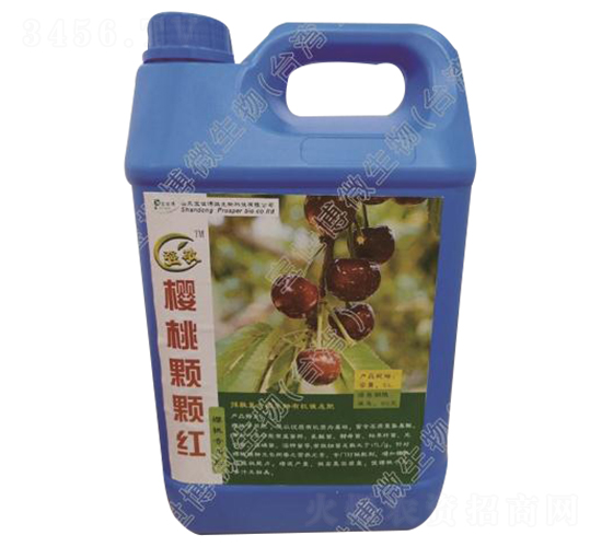 櫻桃專用液體肥-櫻桃顆顆紅-寶世博