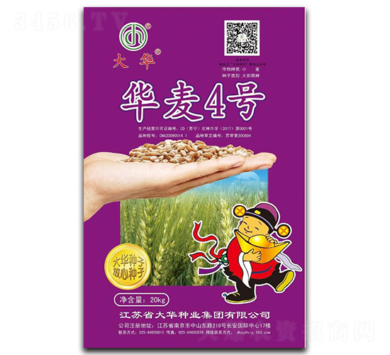 華麥4號(hào)-小麥種子-大華種業(yè)