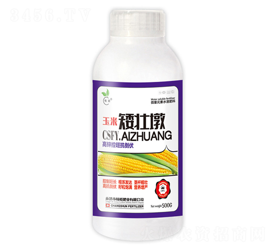 500g玉米矮壯墩-暢瞬