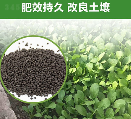 �G�����÷�-�����S