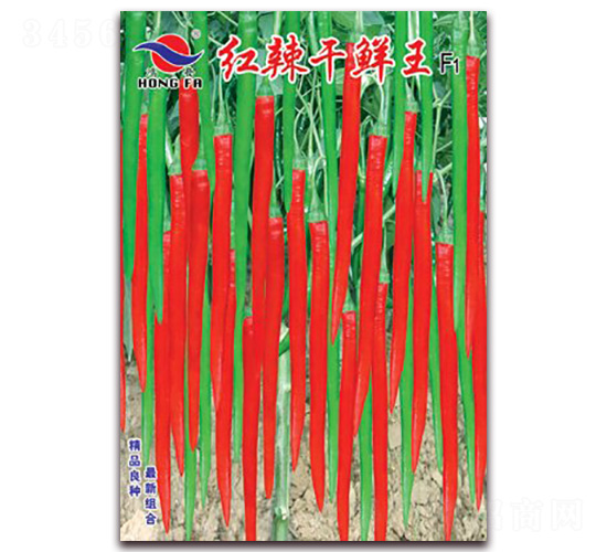 �t�����r��-�����N��-�t�l(f��)�N�I(y��)