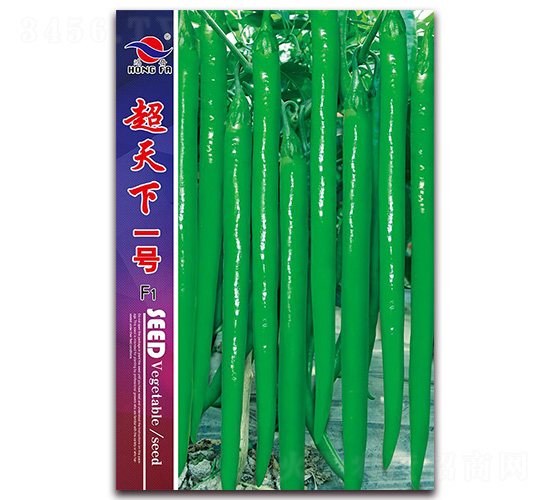 超天下一號-線椒種子-紅發(fā)種業(yè)