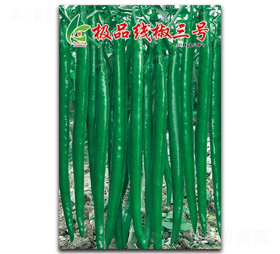 �OƷ������̖(h��o)-�����N��-�t�l(f��)�N�I(y��)