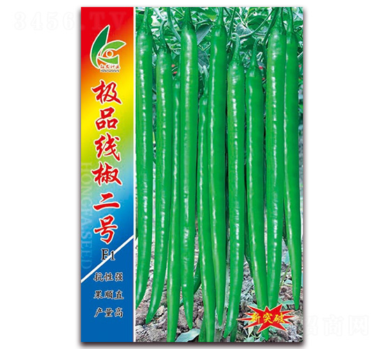 �OƷ������̖(h��o)-�����N��-�t�l(f��)�N�I(y��)