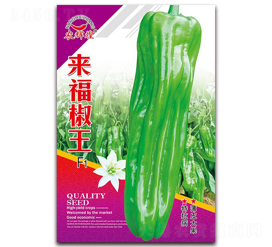 ��(l��i)������-��Ƥ�ݽ��N��-�t�l(f��)�N�I(y��)