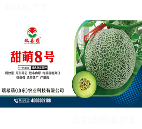 ����8̖-��ϷN��-��ϣ��