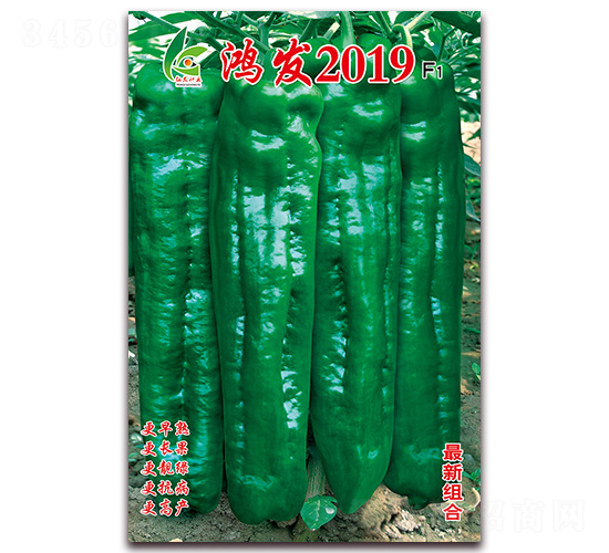 ���l(f��)2019-��Ƥ�ݽ��N��-�t�l(f��)�N�I(y��)