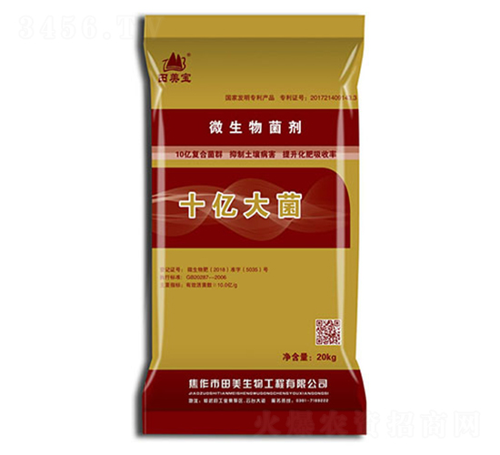 ΢�������-ʮ�|���-��������