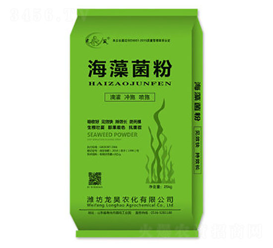 �������-��껷ʘI(y��)