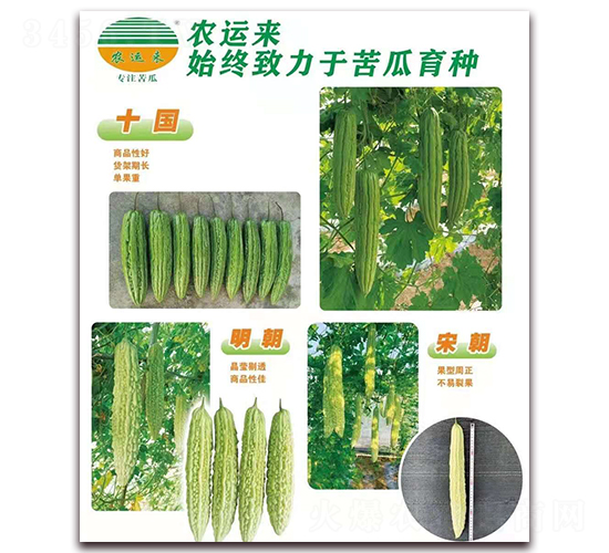 ʮ��(gu��)+����+�γ�-��ϷN��-�r(n��ng)�\(y��n)��