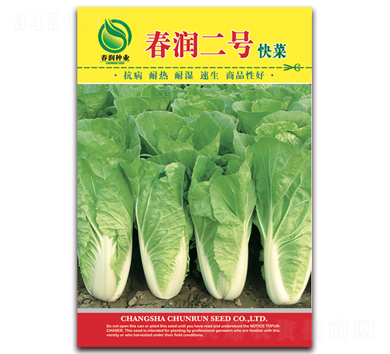 ������̖-�ײ˷N��-�����N�I(y��)