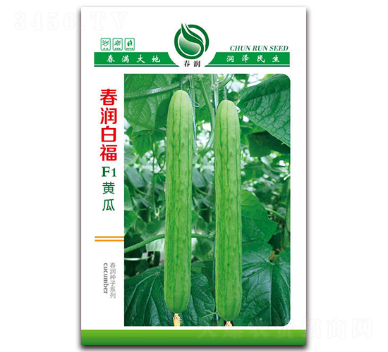 春潤白福F1-黃瓜種子-春潤種業(yè)