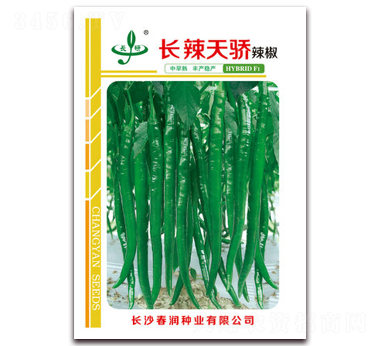 �L�����-�����N��-�����N�I(y��)