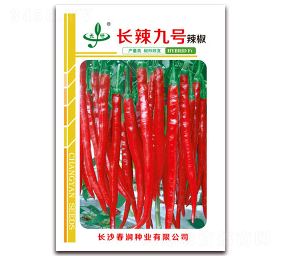 長(zhǎng)辣九號(hào)-辣椒種子-春潤種業(yè)