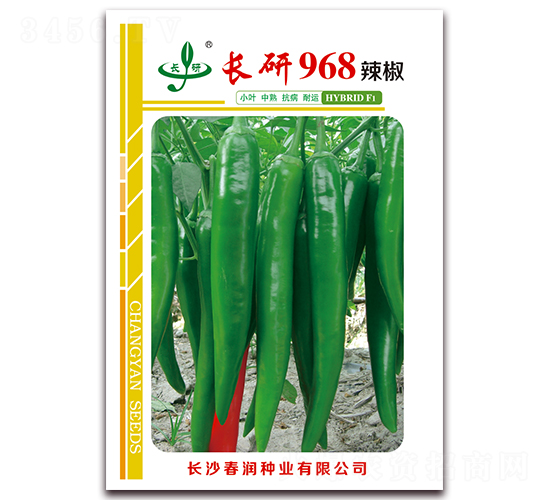 �L(zh��ng)��968-�����N��-����(r��n)�N�I(y��)