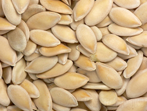 黃瓜種子-農(nóng)伯樂