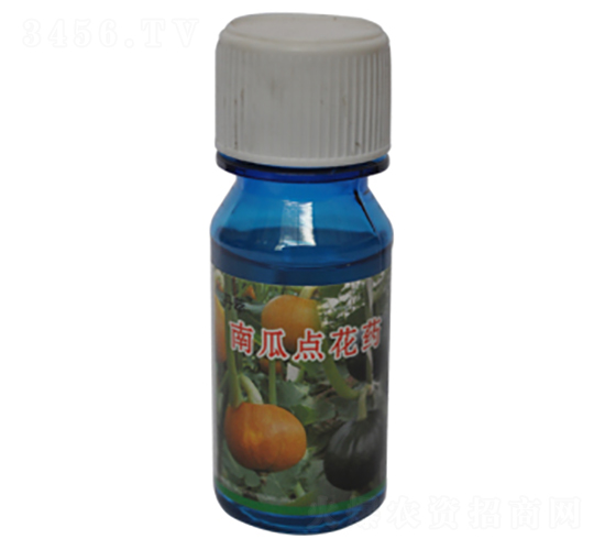 南瓜點花藥-農(nóng)伯樂