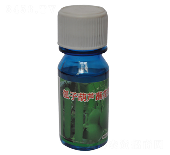 瓠子葫蘆蘸花藥-農(nóng)伯樂