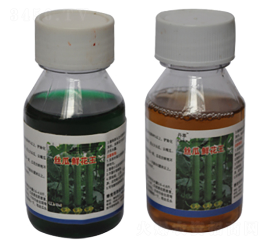 絲瓜鮮花王組合-農(nóng)伯樂