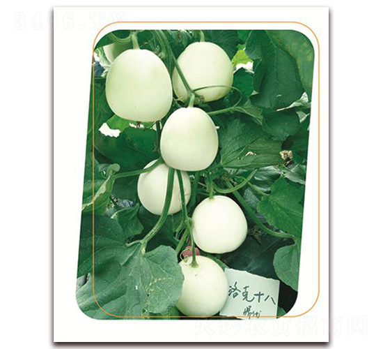 ���18-��ϷN��-����(y��u)�r�I(y��)