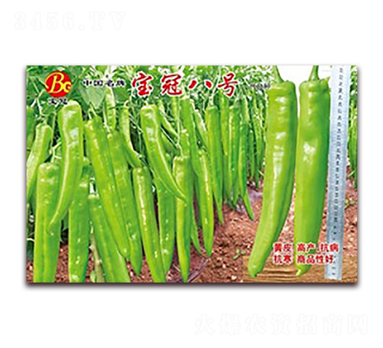 寶冠八號-線椒種子-聯(lián)豐種業(yè)