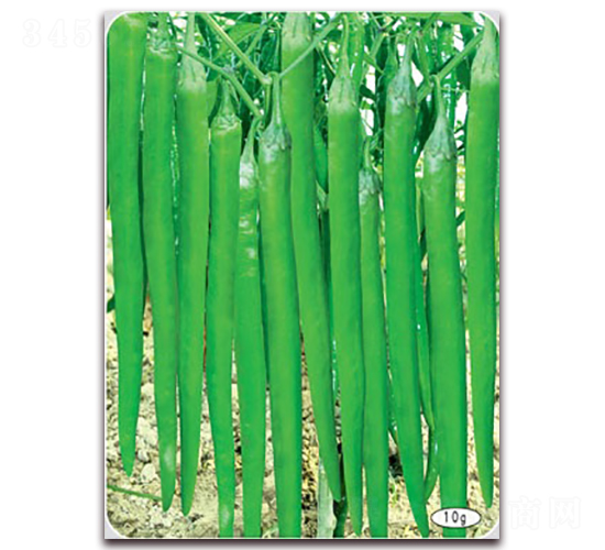 ���S��̖-�����N��-(li��n)�S�N�I(y��)