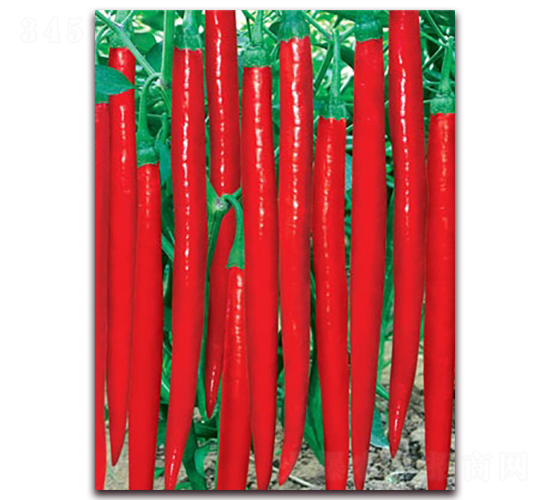 �OƷ���S��̖-�����N��-(li��n)�S�N�I(y��)