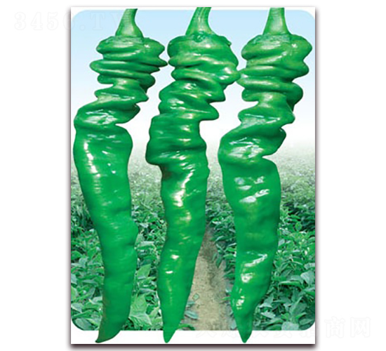 ����2316-�ݽz���N��-(li��n)�S�N�I(y��)