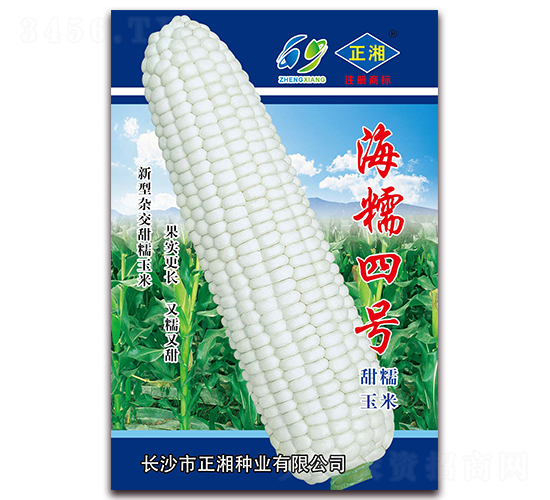 ��Ŵ��̖(h��o)-Ŵ���׷N��-����N�I(y��)