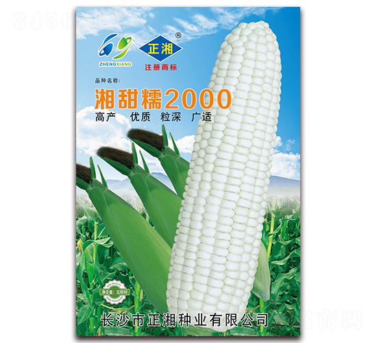 ����Ŵ2000-Ŵ���׷N��-����N�I(y��)