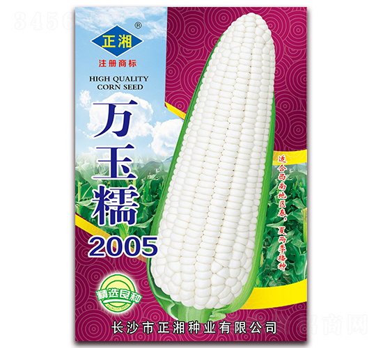 萬玉糯2005-糯玉米種子-正湘種業(yè)