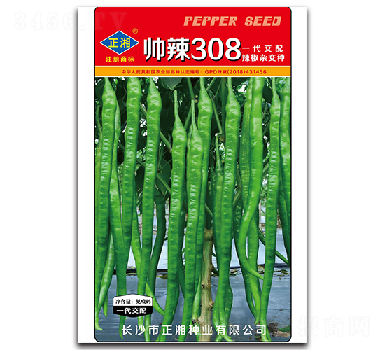 ����308���ࣩ-�����N��-����N�I(y��)