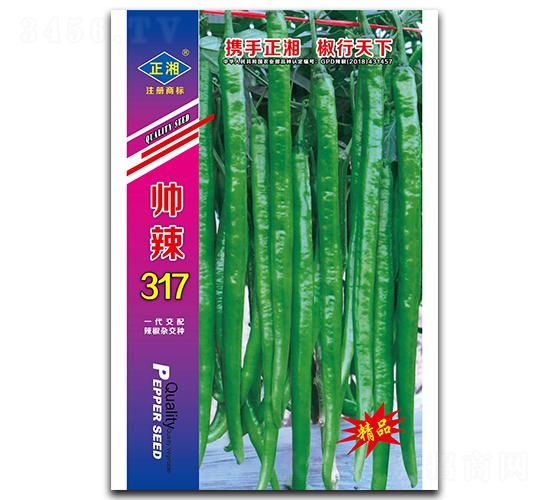 帥辣317（青）-線椒種子-正湘種業(yè)