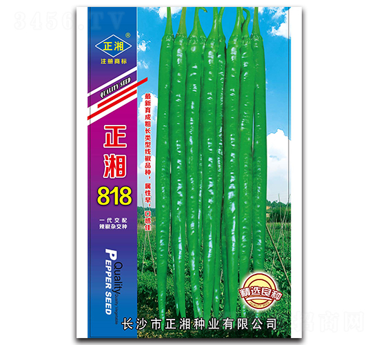 ����818-�����N��-����N�I(y��)